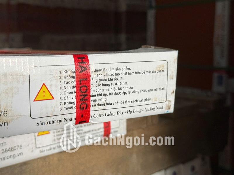 Gạch Cotto đỏ Viglacera Hạ Long 500x500