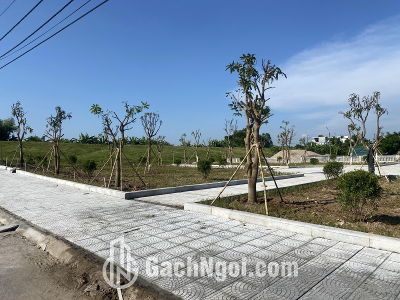 Gạch Terrazzo Rẻ Quạt Ghi