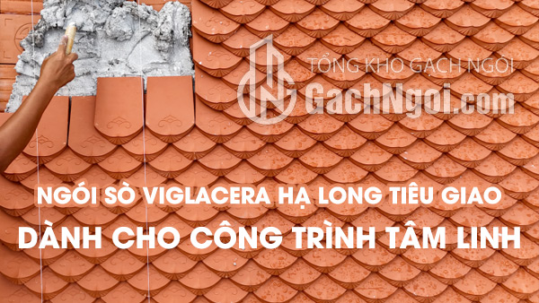 Ngói Sò Viglacera Hạ Long Tiêu Giao Dành Cho Công Trình Tâm Linh